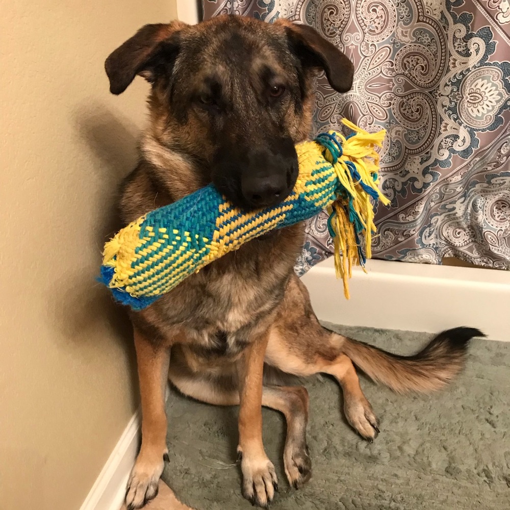 Meet your Posher, Teresa